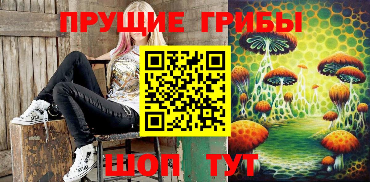 Псилоцибиновые грибы Psilocybine cubensis Дивногорск