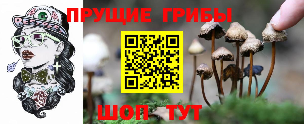 Псилоцибиновые грибы ЛСД  Псилоцибиновые грибы Cubensis  Вход с VPN  Дивногорск 